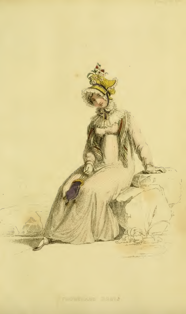 Ackermanns Fashion Plates November 1815: Promenade Dress